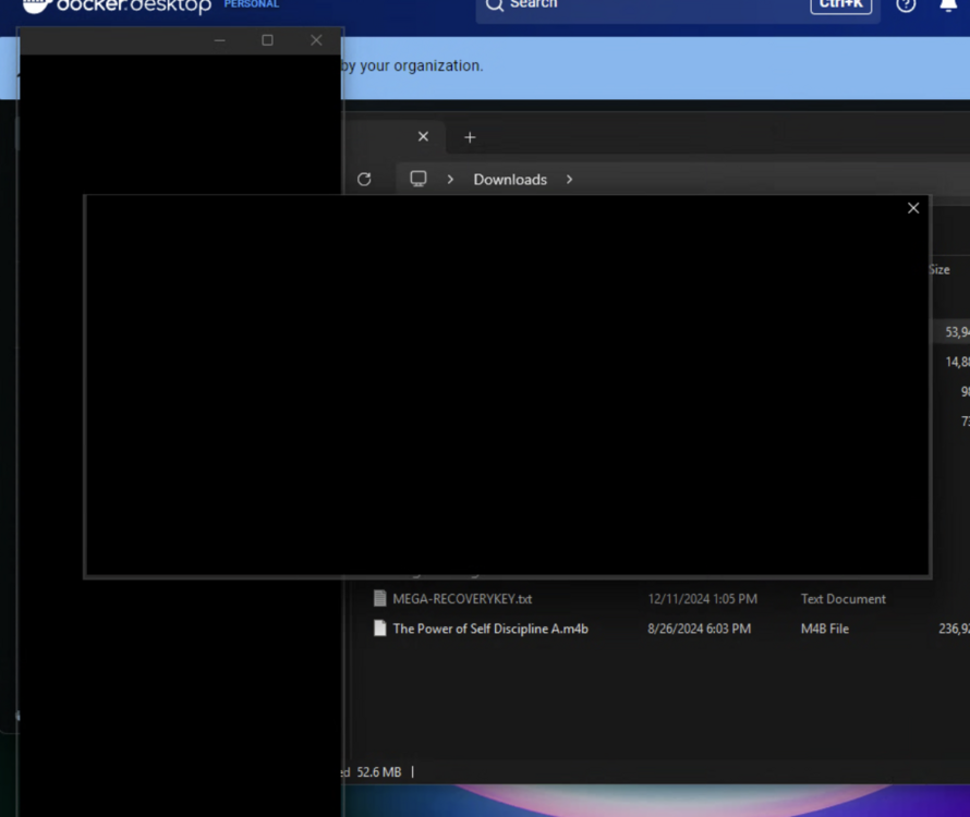 Screenshot 2025-03-01 002024.png